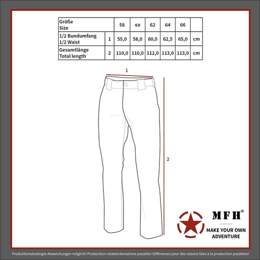 Полеви панталон BW Field Pants, flecktarn, 5 цвята, големи размери