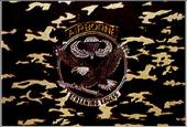 Флаг ,  U.S. AIRBORNE CAMO