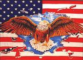Флаг , '' UNITED STATES W/ EAGLE ''