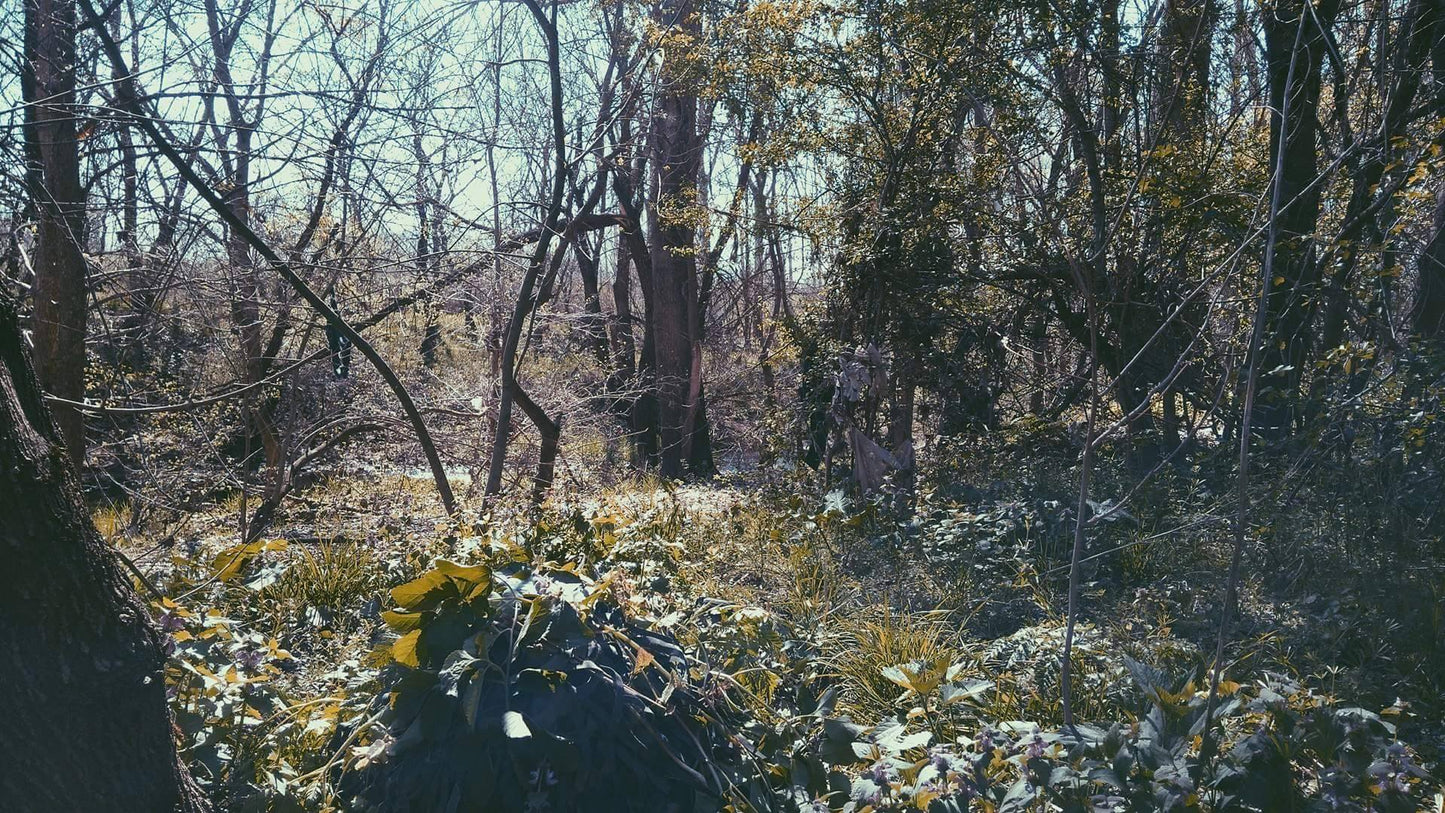 Маскировъчен костюм ''Jackal'' Woodland.