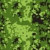 m84-camo